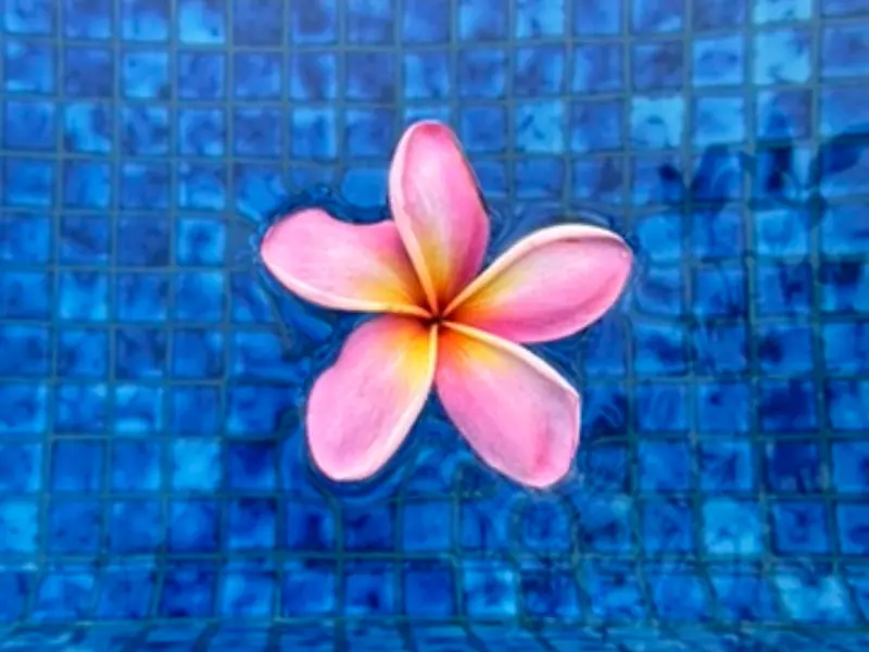 Picture of Een Indisch Ding